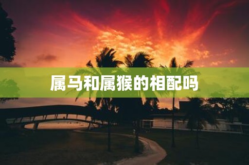 属马和属猴的相配吗
