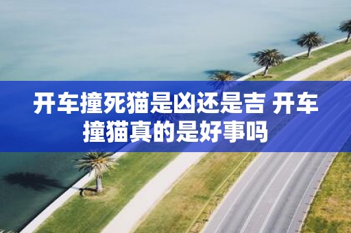 开车撞死猫是凶还是吉 开车撞猫真的是好事吗