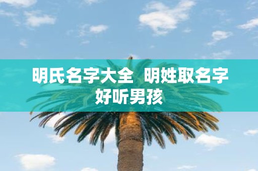 明氏名字大全 明姓取名字好听男孩