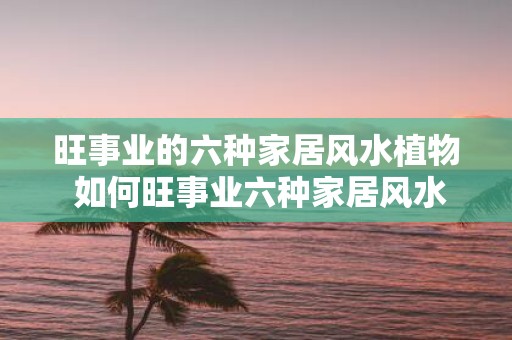 旺事业的六种家居风水植物 如何旺事业六种家居风水植物推荐