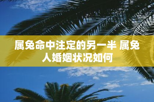 属兔命中注定的另一半 属兔人婚姻状况如何
