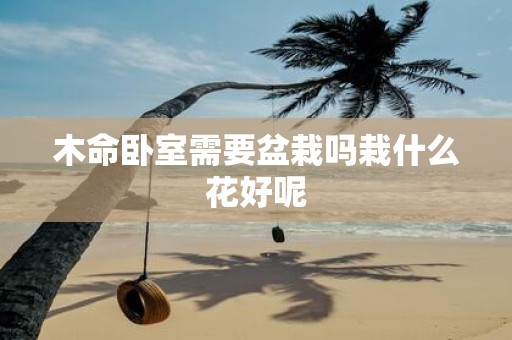 木命卧室需要盆栽吗栽什么花好呢