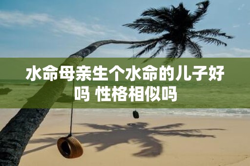 水命母亲生个水命的儿子好吗 性格相似吗
