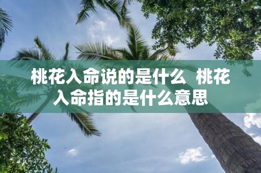 桃花入命说的是什么 桃花入命指的是什么意思