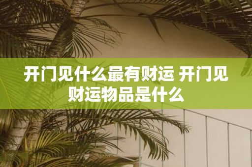 开门见什么最有财运 开门见财运物品是什么
