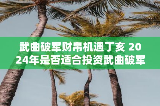 武曲破军财帛机遇丁亥 2025年是否适合投资武曲破军财帛