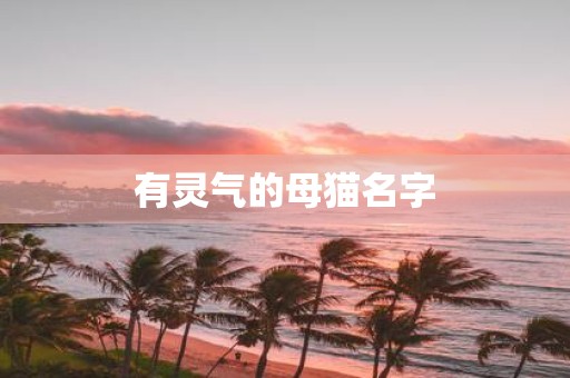 有灵气的母猫名字