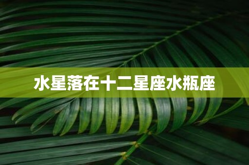 水星落在十二星座水瓶座