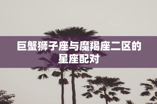 巨蟹狮子座与魔羯座二区的星座配对