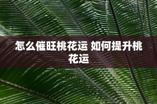 怎么催旺桃花运 如何提升桃花运