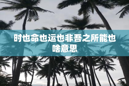 时也命也运也非吾之所能也啥意思