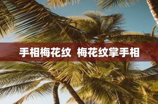 手相梅花纹 梅花纹掌手相