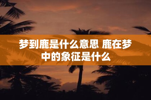梦到鹿是什么意思 鹿在梦中的象征是什么