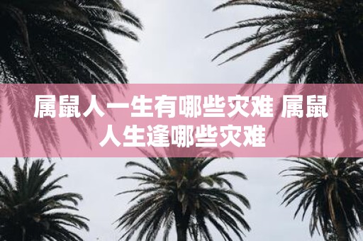 属鼠人一生有哪些灾难 属鼠人生逢哪些灾难