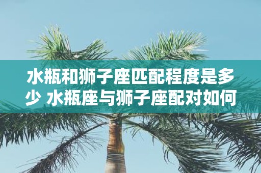 水瓶和狮子座匹配程度是多少 水瓶座与狮子座配对如何