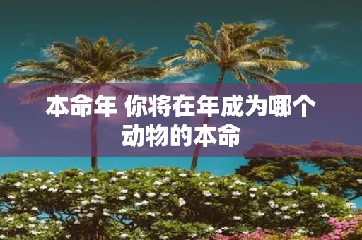 本命年 你将在年成为哪个动物的本命