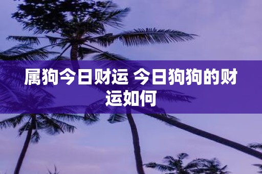 属狗今日财运 今日狗狗的财运如何