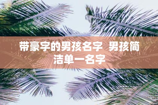 带豪字的男孩名字 男孩简洁单一名字