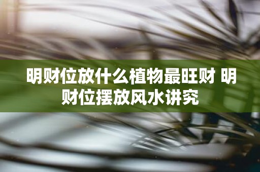 明财位放什么植物最旺财 明财位摆放风水讲究