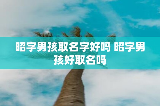 昭字男孩取名字好吗 昭字男孩好取名吗