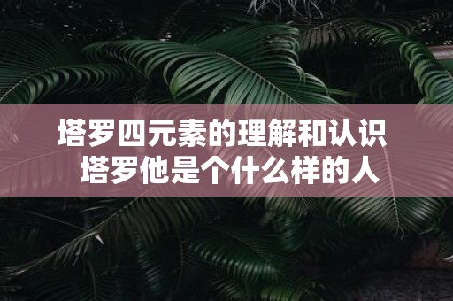 塔罗四元素的理解和认识 塔罗他是个什么样的人