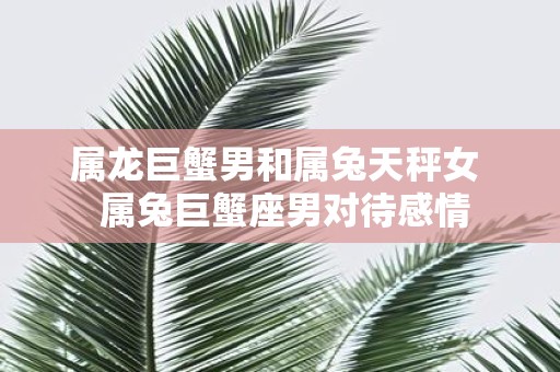 属龙巨蟹男和属兔天秤女 属兔巨蟹座男对待感情