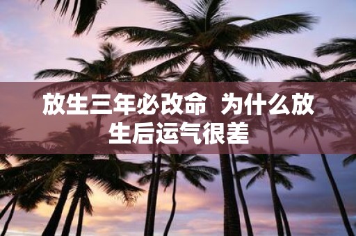 放生三年必改命 为什么放生后运气很差
