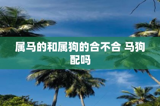 属马的和属狗的合不合 马狗配吗