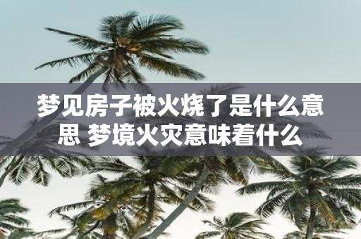 梦见房子被火烧了是什么意思 梦境火灾意味着什么