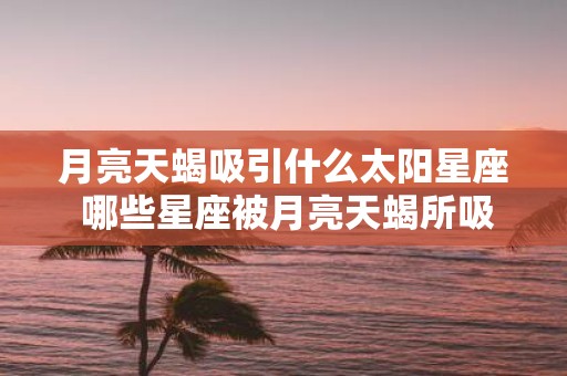 月亮天蝎吸引什么太阳星座 哪些星座被月亮天蝎所吸引