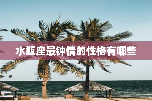 水瓶座最钟情的性格有哪些