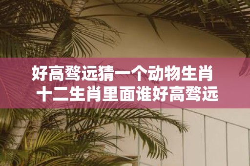 好高骛远猜一个动物生肖 十二生肖里面谁好高骛远