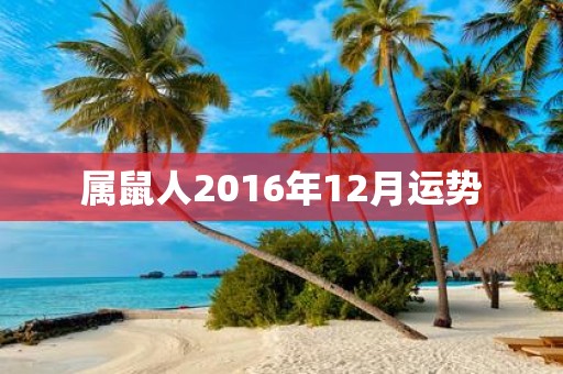 属鼠人2016年12月运势
