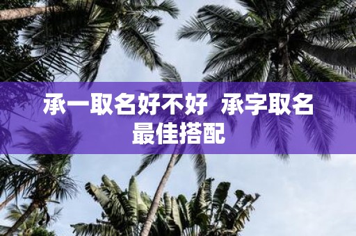 承一取名好不好 承字取名最佳搭配