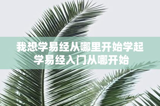 我想学易经从哪里开始学起 学易经入门从哪开始