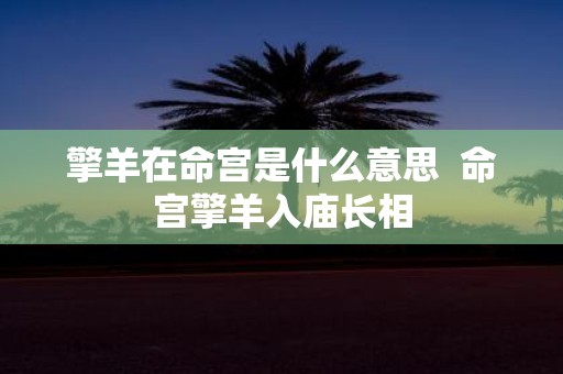 擎羊在命宫是什么意思 命宫擎羊入庙长相