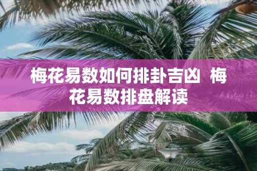 梅花易数如何排卦吉凶 梅花易数排盘解读