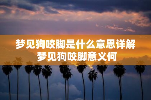 梦见狗咬脚是什么意思详解 梦见狗咬脚意义何