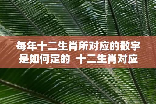 每年十二生肖所对应的数字是如何定的 十二生肖对应的年份规律