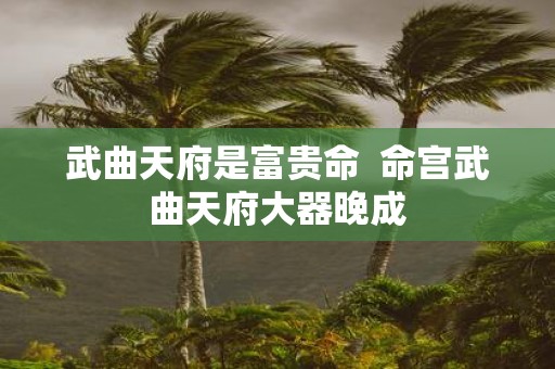 武曲天府是富贵命 命宫武曲天府大器晚成