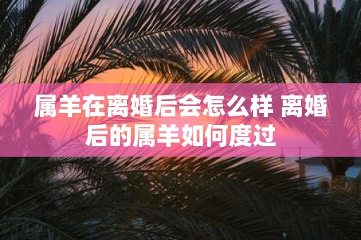属羊在离婚后会怎么样 离婚后的属羊如何度过