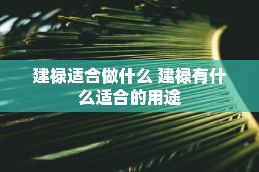 建禄适合做什么 建禄有什么适合的用途