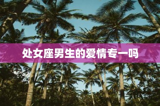 处女座男生的爱情专一吗