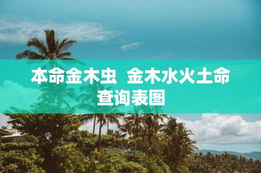 本命金木虫 金木水火土命查询表图