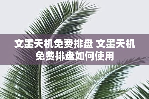 文墨天机免费排盘 文墨天机免费排盘如何使用