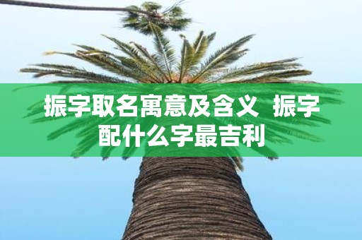 振字取名寓意及含义 振字配什么字最吉利