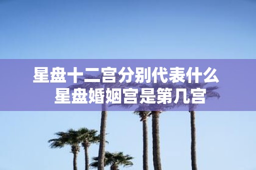 星盘十二宫分别代表什么 星盘婚姻宫是第几宫
