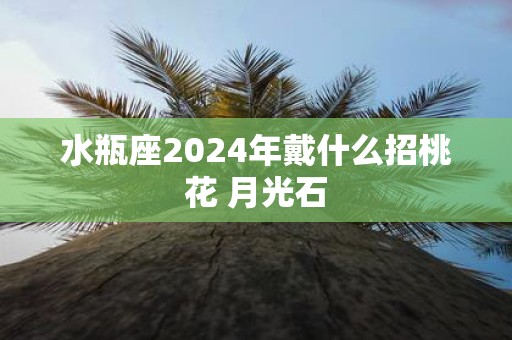 水瓶座2025年戴什么招桃花 月光石