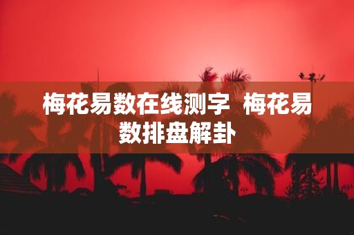 梅花易数在线测字 梅花易数排盘解卦