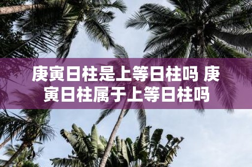 庚寅日柱是上等日柱吗 庚寅日柱属于上等日柱吗